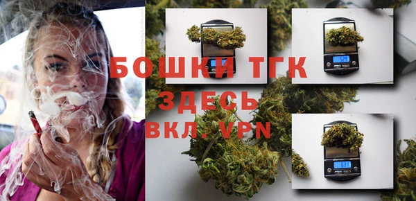 ешки Аркадак