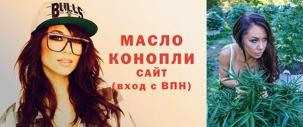 крисы Новозыбков