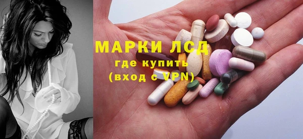 крисы Алзамай