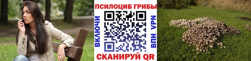 гидра как войти Нея Галлюциногенные грибы Cubensis
